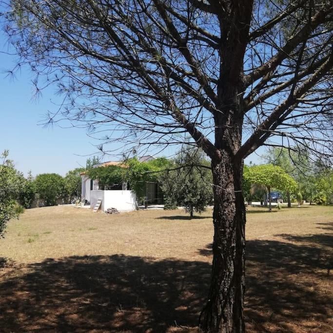 Villa Del Glicine 穆罗莱切塞 外观 照片