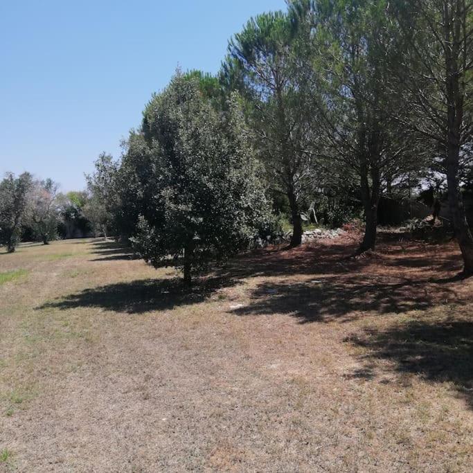 Villa Del Glicine 穆罗莱切塞 外观 照片