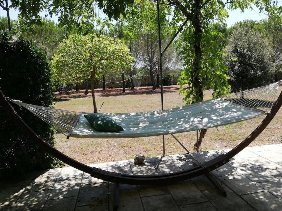 Villa Del Glicine 穆罗莱切塞 外观 照片
