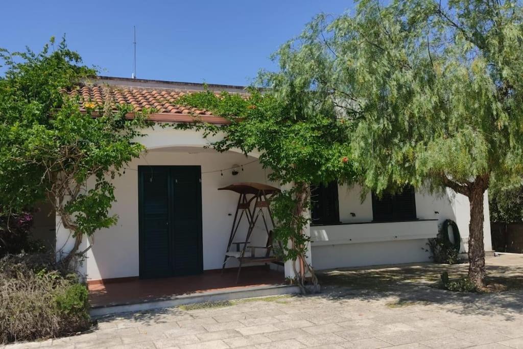 Villa Del Glicine 穆罗莱切塞 外观 照片
